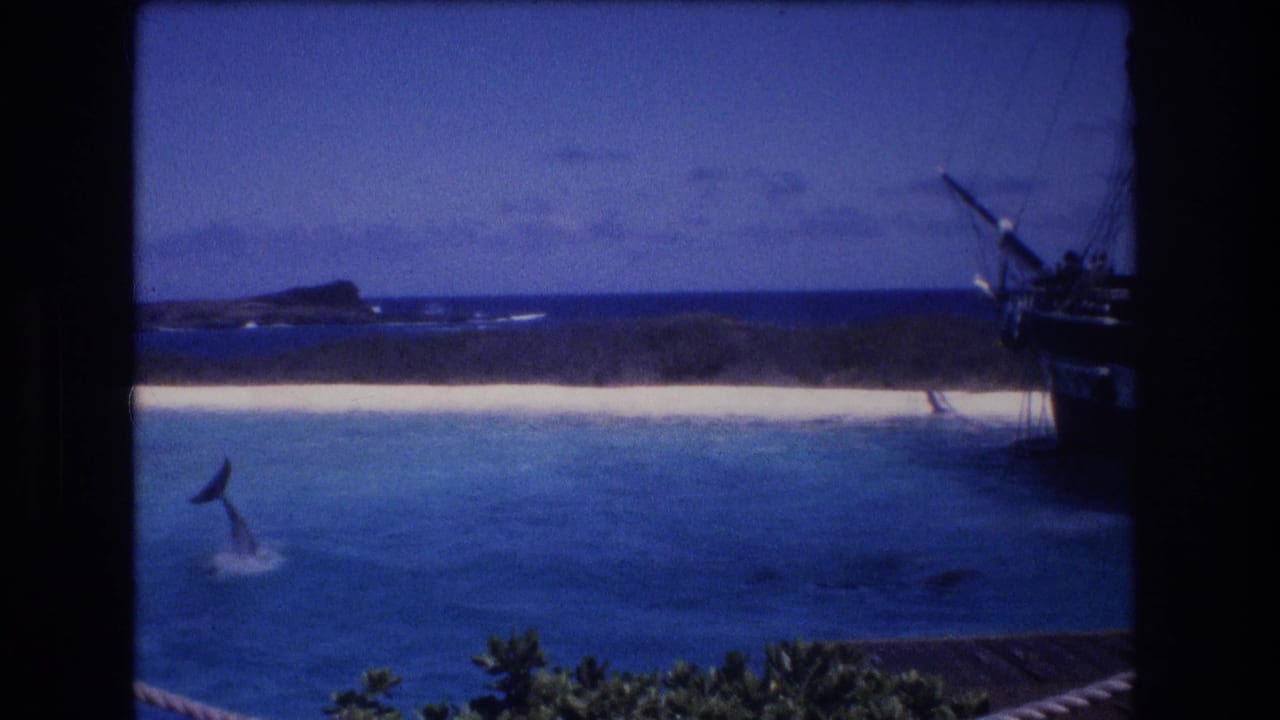 1977 Honolulu Oahu home-movie frame showing a dolphin breaking the surface in a marine park lagoon, with a sandy beach, ocean horizon, and fake pirate ship partly visible.