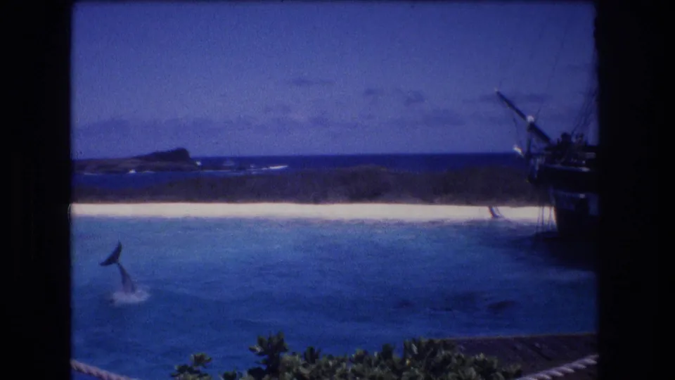 1977 Honolulu Oahu home-movie frame showing a dolphin breaking the surface in a marine park lagoon, with a sandy beach, ocean horizon, and fake pirate ship partly visible.