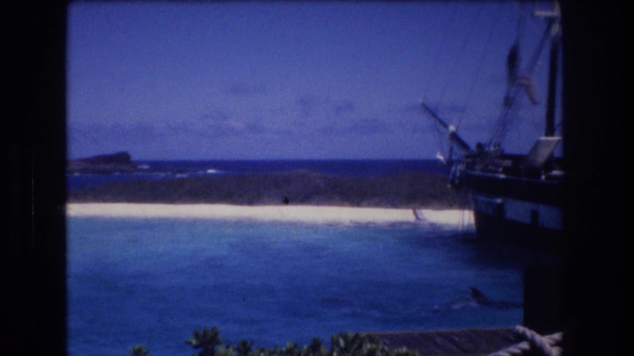 Dolphin swimming near the surface beside a staged lagoon and fake pirate ship.