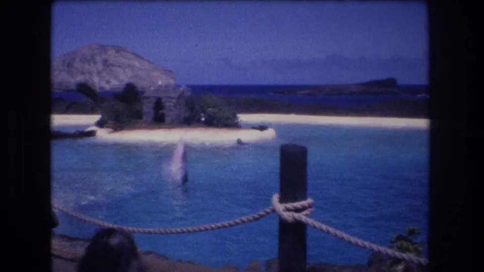 1977 Honolulu Oahu visitor-shot frame of a dolphin splash in a marine park lagoon, with foreground rope barrier and post, sandy island, vegetation, and distant rocky shoreline.