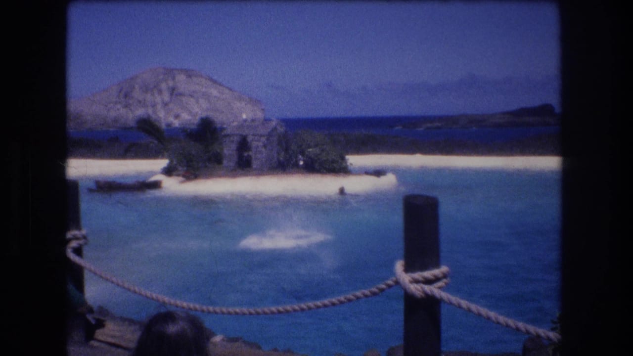 Marine park lagoon with a dark aquatic animal splashing near a sandy island set.