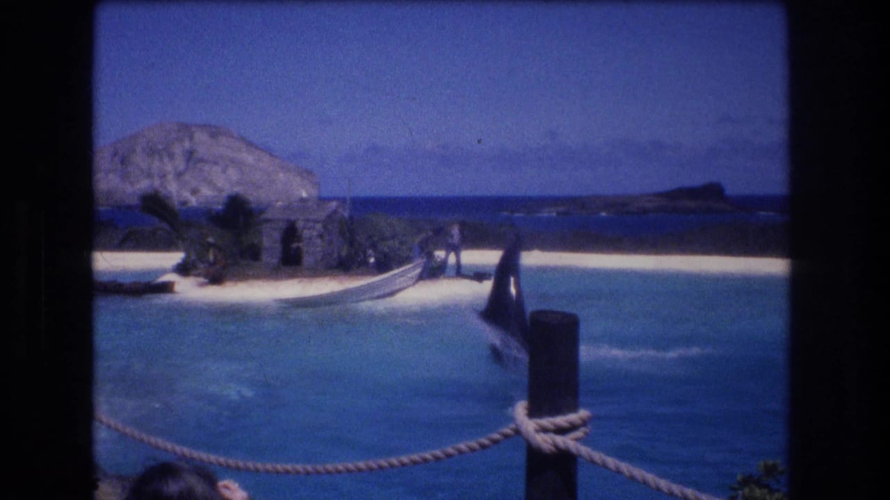 Dark whale or dolphin rises from the pool near a sandy island stage.