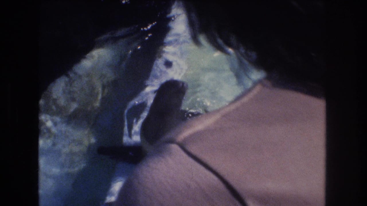 1977 Honolulu 8mm frame showing a sea lion in blue-tinted pool water with a visitor's shoulder and dark hair partly blocking the foreground.