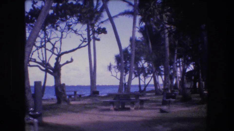 Honolulu or Oahu park scene with palm trees, bare branches, picnic tables, shaded ground, and a distant ocean horizon in 1977 8mm home-movie footage.