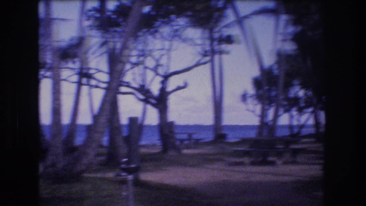 Shaded picnic tables and trees with the ocean visible in the background.