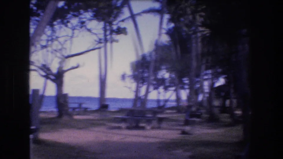 Soft 8mm frame of an empty Oahu picnic or dining area, with palm trunks, tables, and the shoreline visible beyond the shaded clearing.