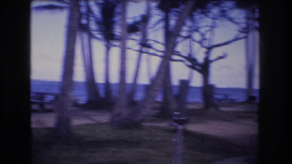 Blue-purple 8mm frame from Oahu showing tall trees around an empty picnic area, with a low ocean horizon behind the trunks.