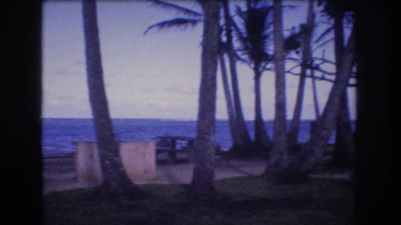 Beach view through a dark car window with palms, picnic tables, ocean, and cloudy sky.