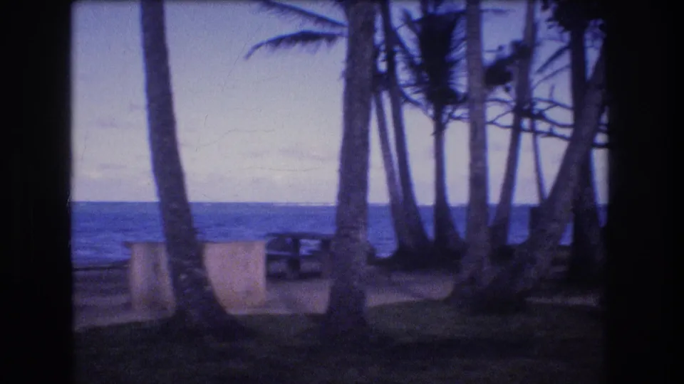1977 Honolulu Oahu beach view filmed through a car window, showing palm trunks, picnic tables, sandy ground, ocean horizon, and an overcast sky.