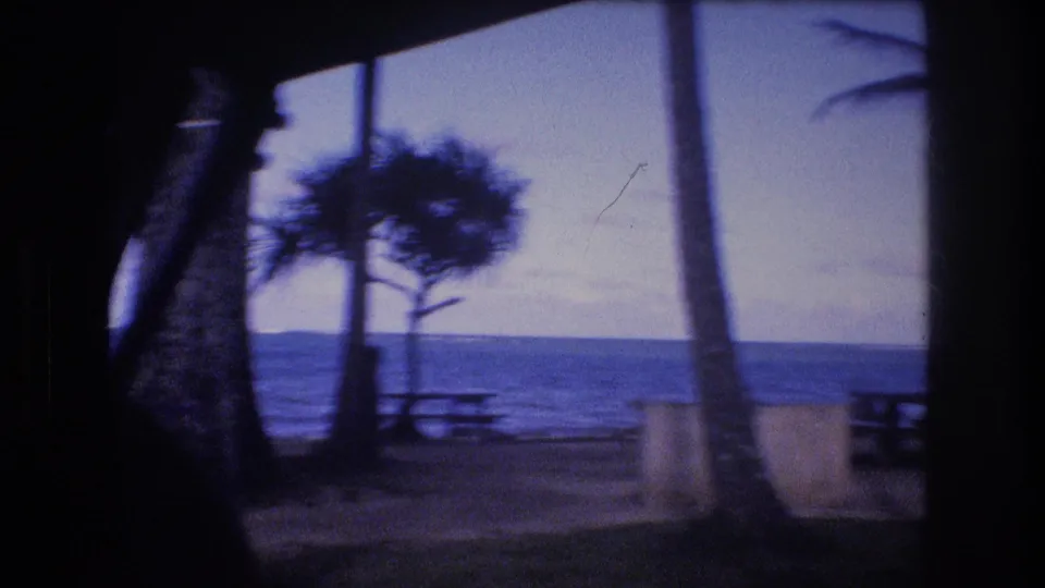 1977 Honolulu Oahu shoreline view through a vehicle window, with a picnic table, pale beach fixtures, windblown coastal trees, ocean, and cloudy horizon.