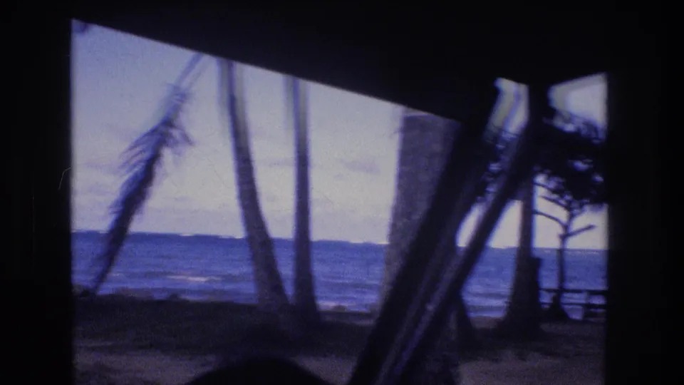 1977 Honolulu Oahu beach scene from inside a car, with dark interior framing, leaning palm trunks, shoreline, ocean waves, and a hazy horizon.