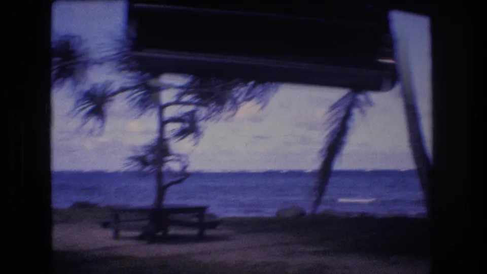 1977 Honolulu Oahu beach cutaway through a car window, showing a picnic table, wind-shaped coastal trees, sandy foreground, low surf, and distant ocean horizon.