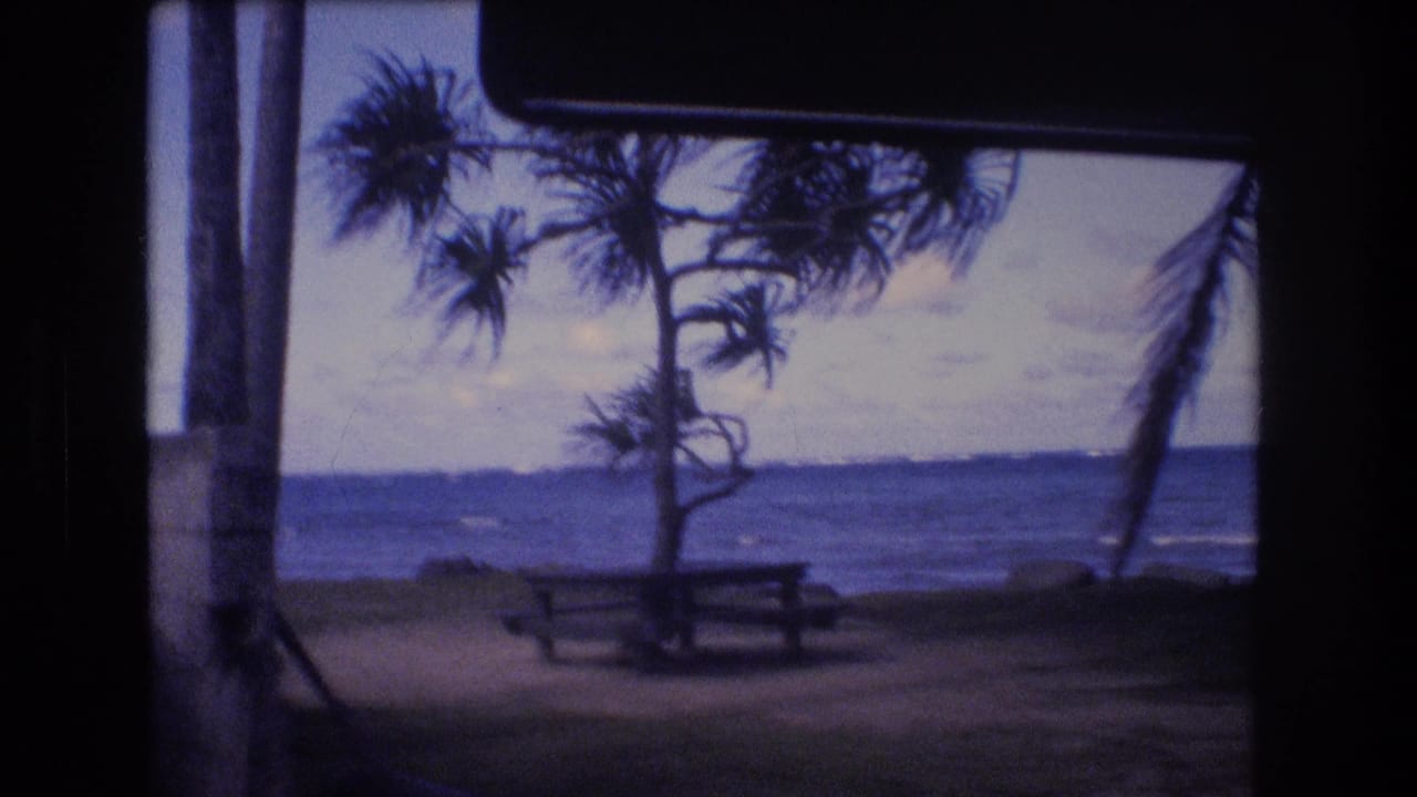 Beach and picnic table seen through a vehicle mirror with ocean and coastal trees beyond.