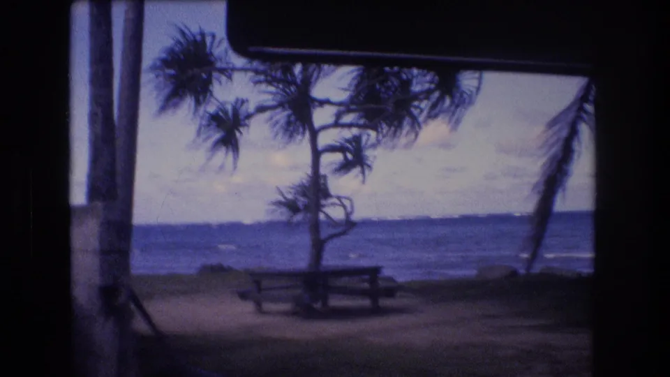 1977 Honolulu-area 8mm frame looking through a vehicle mirror toward a beach picnic table, ocean horizon, and wind-shaped coastal trees.