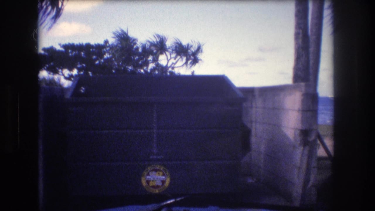 Dark dumpster beside a concrete wall with palms and ocean behind it.