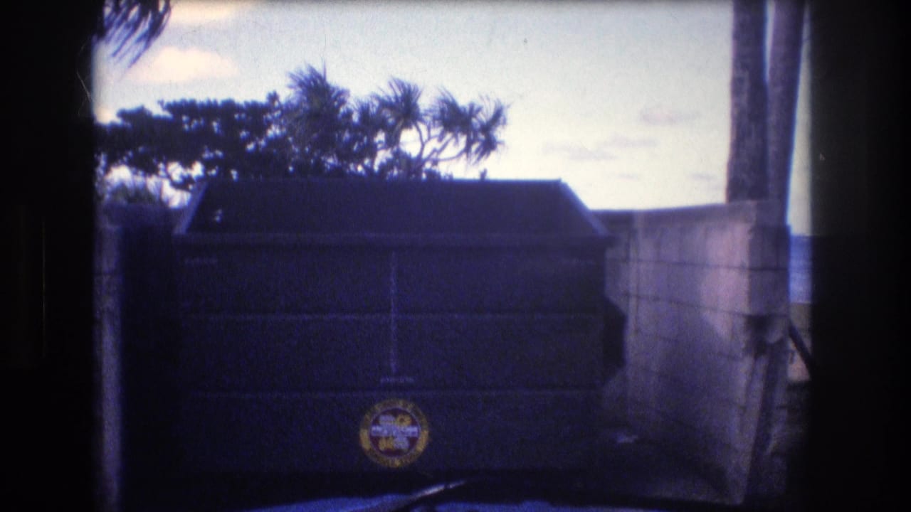 Dark dumpster and concrete wall framed by palms with ocean in the distance.