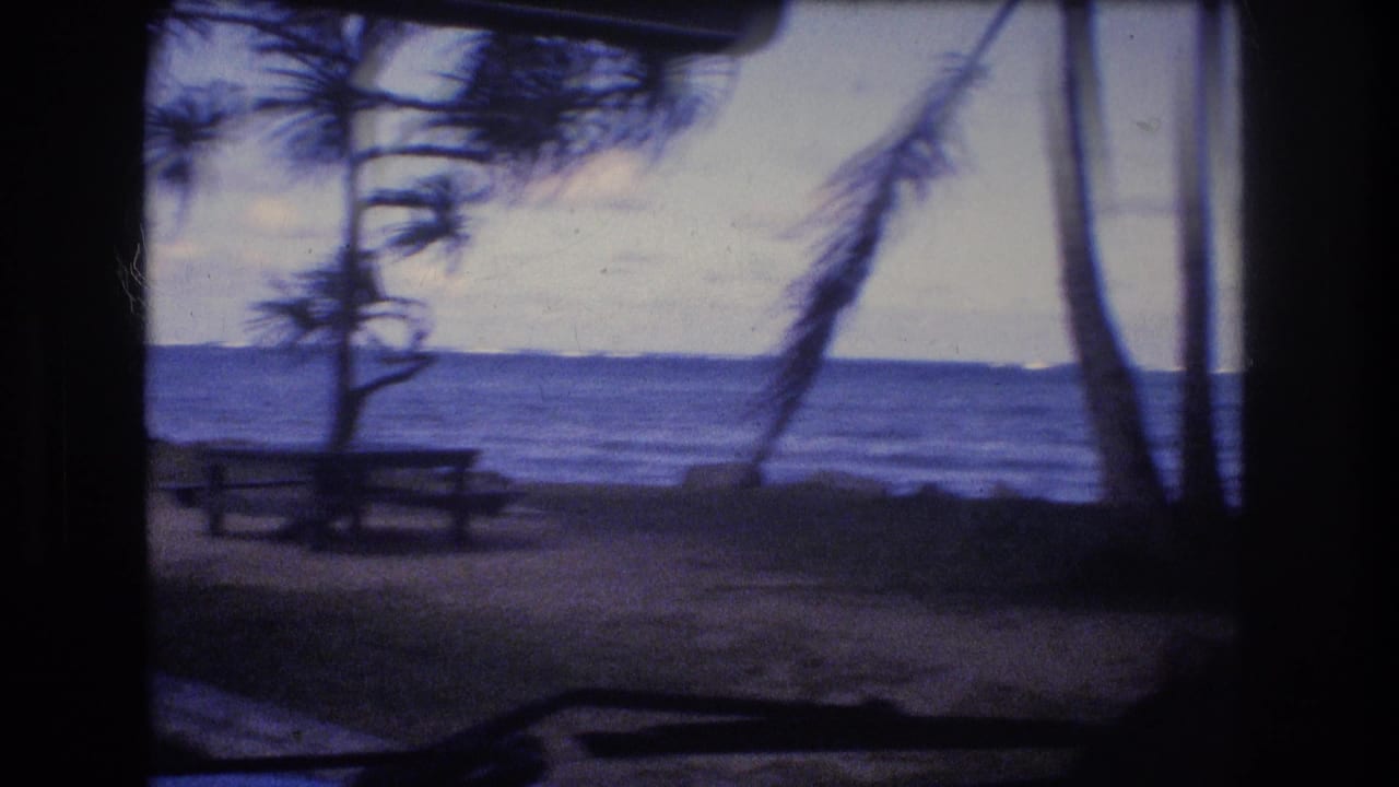 Picnic table and coastal trees seen through dark foreground framing with ocean in the background.