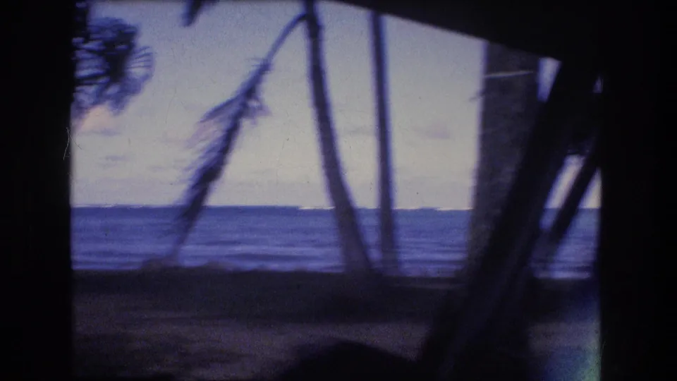 The 8mm frame looks past shaded foreground posts and leaning coastal trees toward the Oahu ocean horizon under a pale sky.
