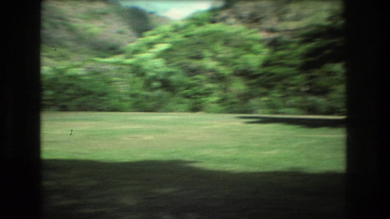 Grassy tropical park seen through dark vertical frame borders.