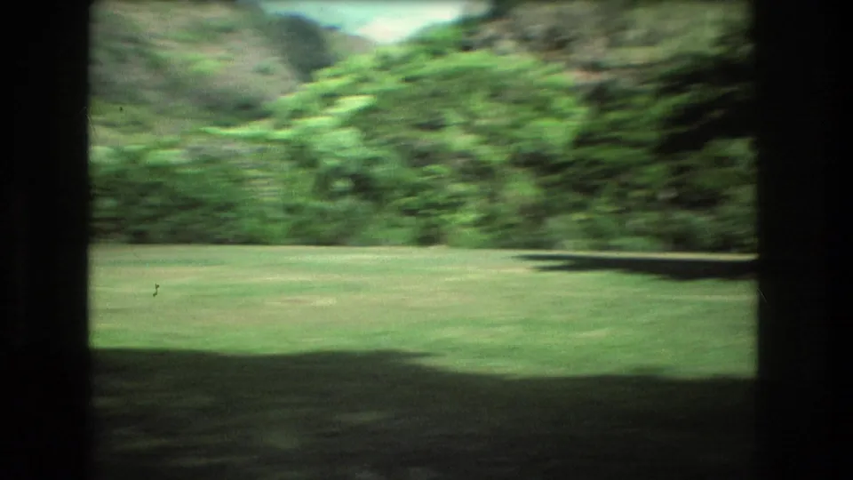 A 1977 Honolulu, Oahu 8mm frame shows a green lawn and dense tropical foliage viewed through dark vertical film or window-like borders.