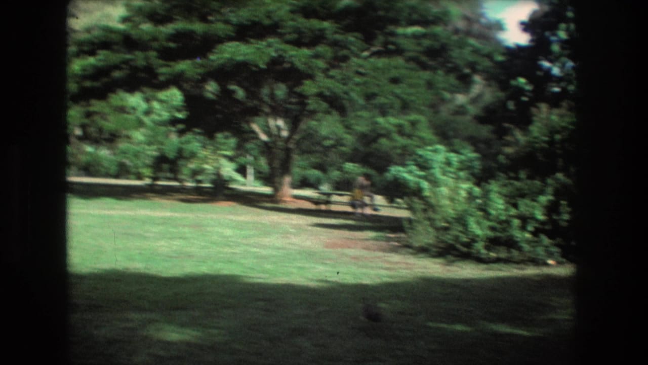 Open lawn with trees and small distant people in a tropical park.