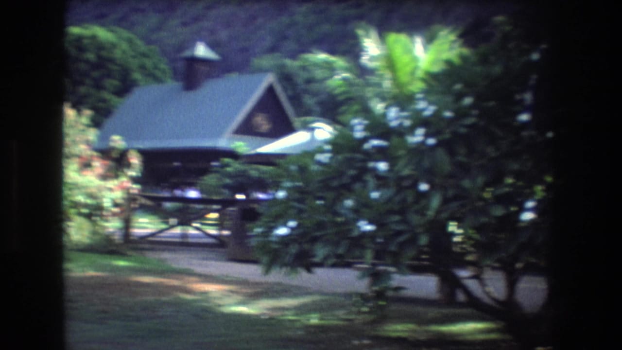 Small dark-roofed structure behind trees in a tropical garden.
