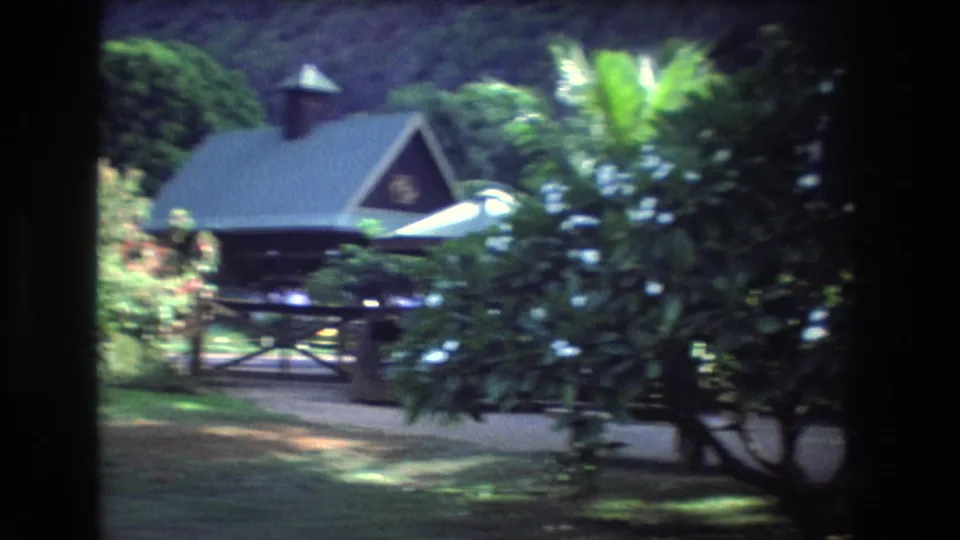 A 1977 Honolulu home-movie frame shows a small dark-roofed structure partly obscured by lush tropical trees and sunlit landscaping.