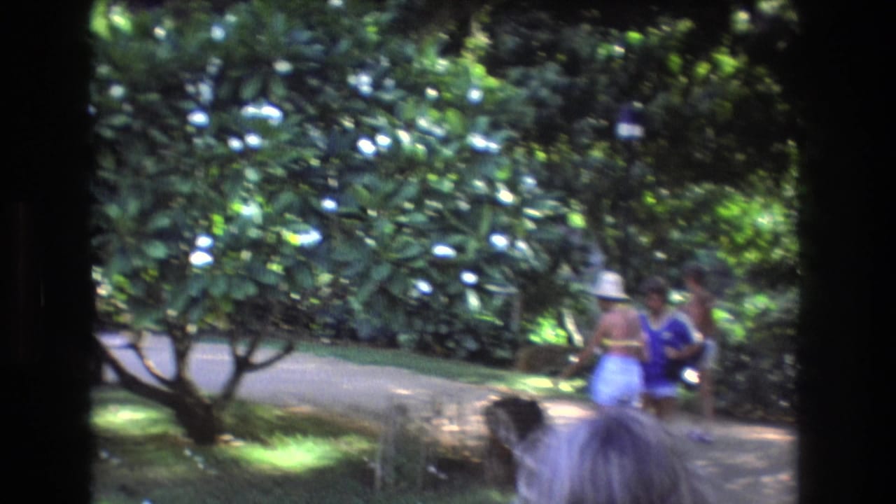 People walk along a garden path near a tree with white blossoms.