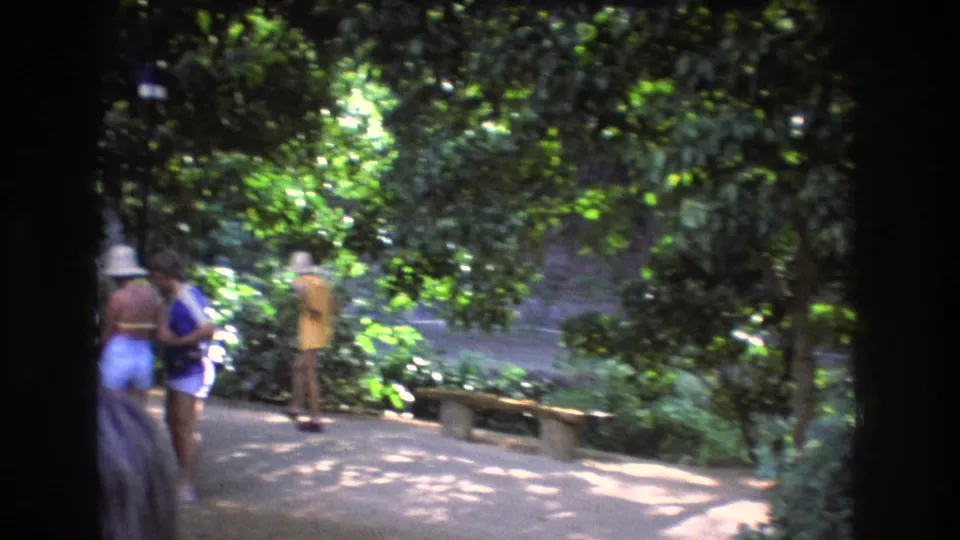 A 1977 Honolulu garden scene shows visitors near a path and low benches under dense tropical foliage, with one person in a white hat and blue swimwear.