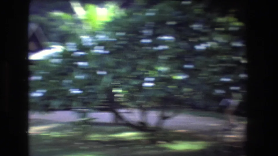 The camera sweeps past tropical greenery in a Honolulu garden, creating motion blur across trees, path, and sunlit foliage.