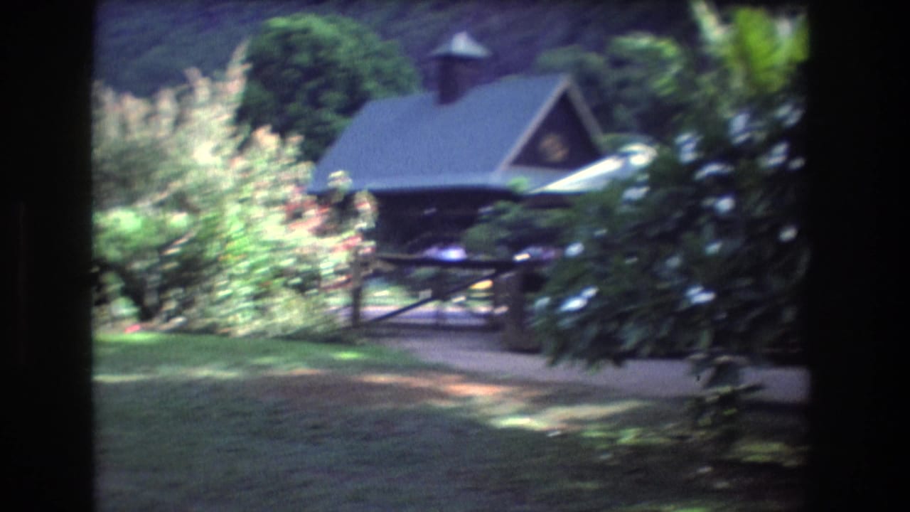 Tropical garden lawn with a dark-roofed cabin partly hidden by foliage.