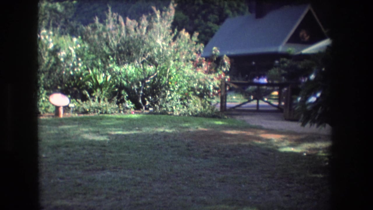 Sunlit garden with shrubs, path, railing, and a cabin in the background.