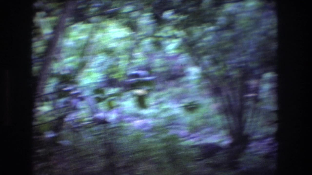 Blurred dense green forest seen through dark film-frame borders.