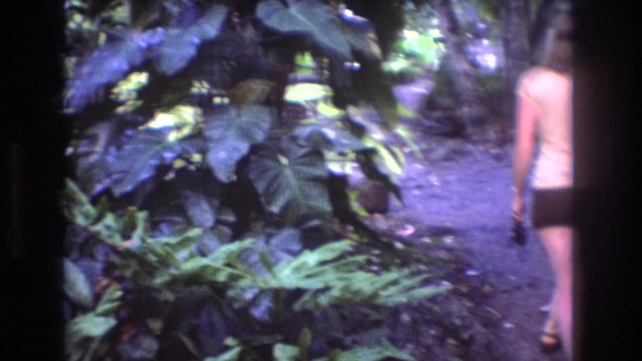 Woman walking away on a tropical path bordered by dense plants.