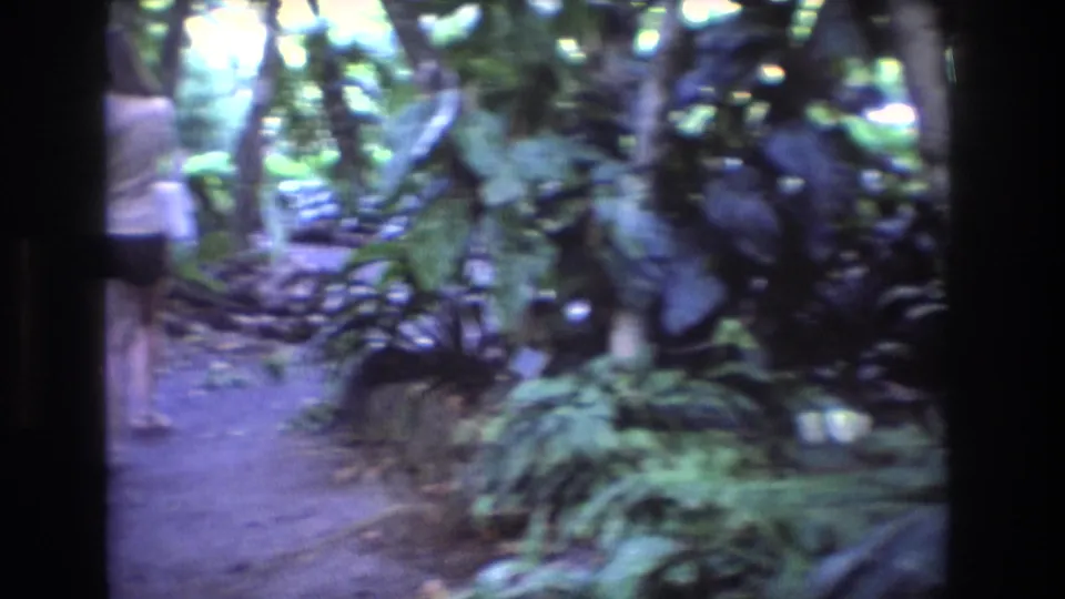 Soft, motion-blurred 1977 Honolulu 8mm frame showing the woman farther ahead on a tropical path framed by dense foliage and filtered daylight.