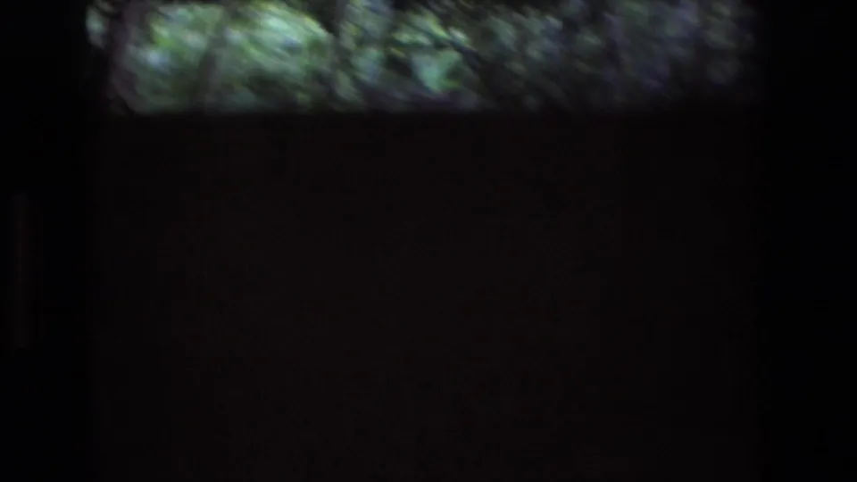 1977 Honolulu, Oahu 8mm frame with blurred tropical foliage across the upper portion and a dark shadowed lower area from the film or scan edge.