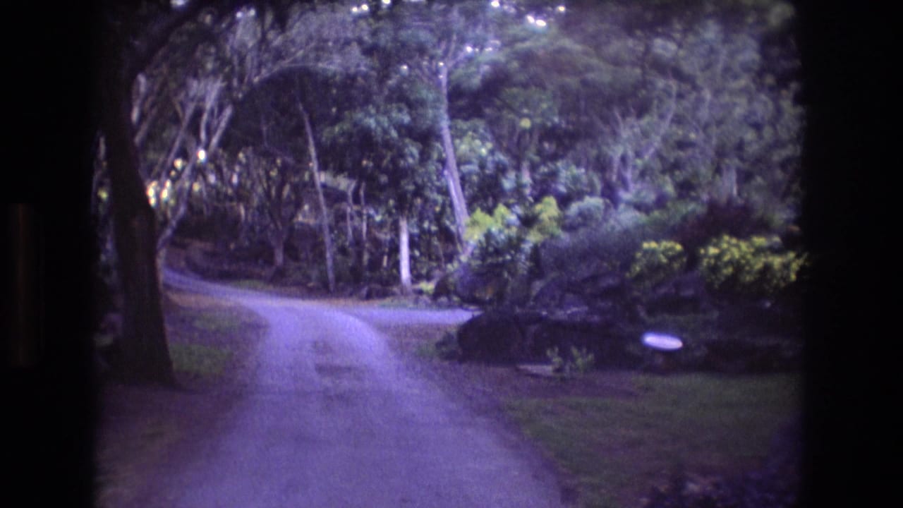 Curving path through dense tropical garden trees and shrubs.