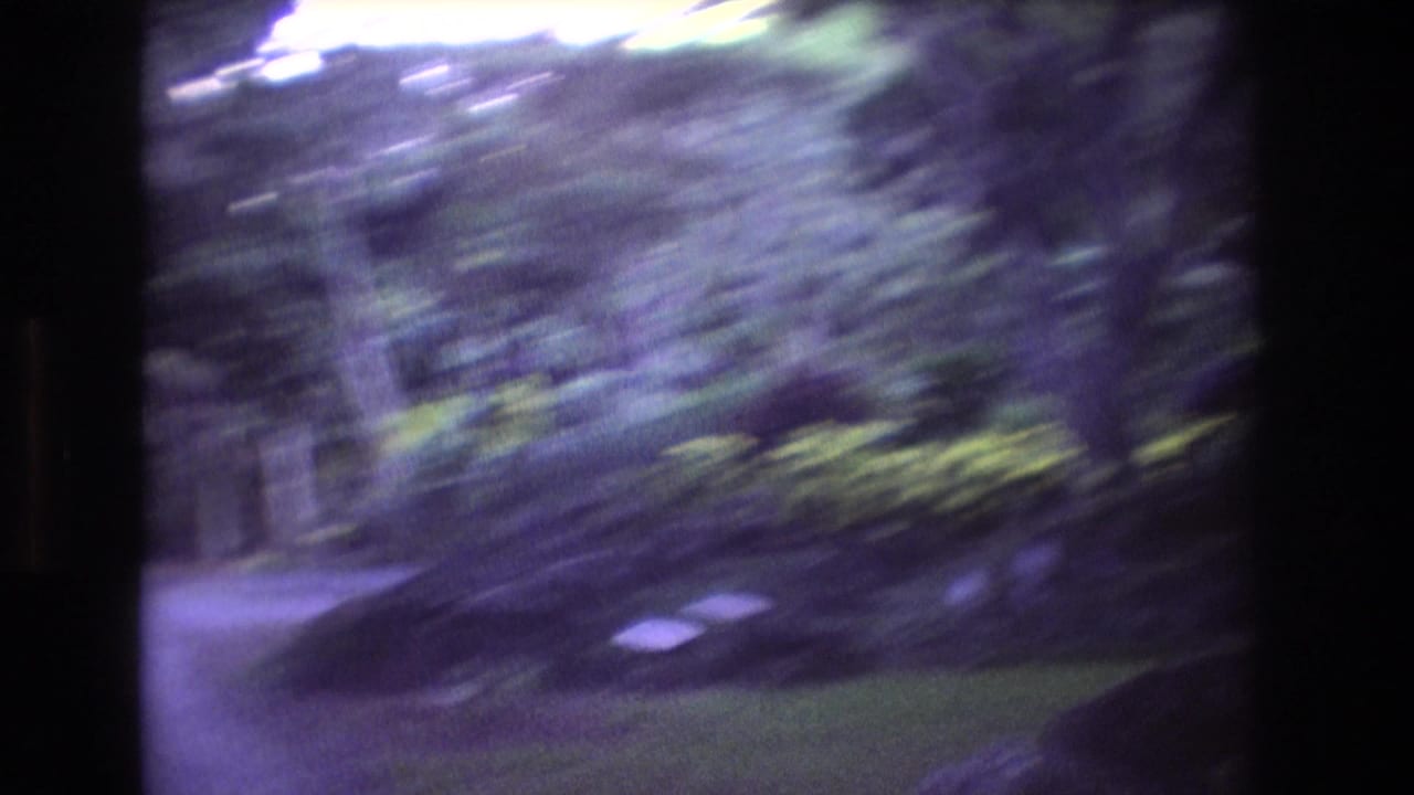 Blurred tropical foliage beside a garden path.
