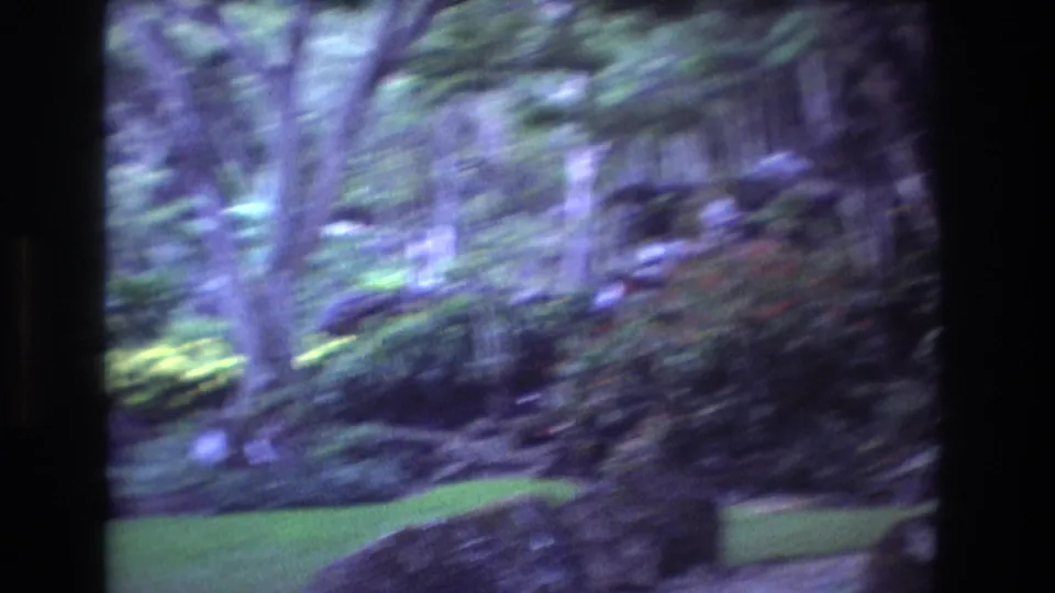 The frame shows a visitor-perspective view through a tropical garden on Oahu, with trunks, leafy shrubs, lawn, and planted borders softened by camera motion.
