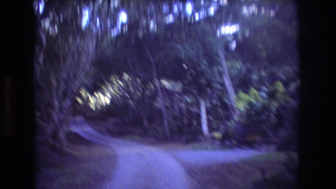 Handheld 8mm view of a path bending through lush Honolulu Oahu vegetation, with motion blur and bluish color shift visible in the frame.