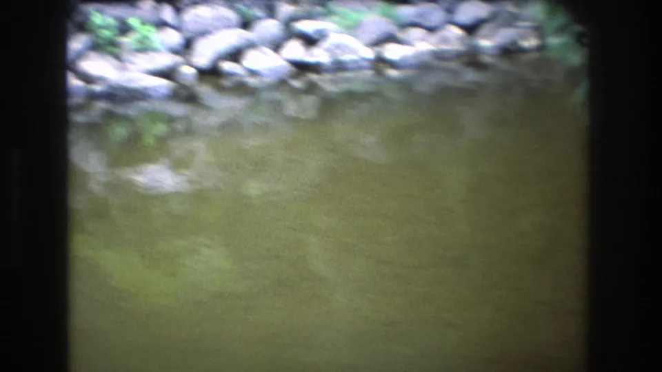 1977 Honolulu, Oahu home-movie frame focused on calm greenish creek water, rounded shoreline rocks, and overhanging vegetation.