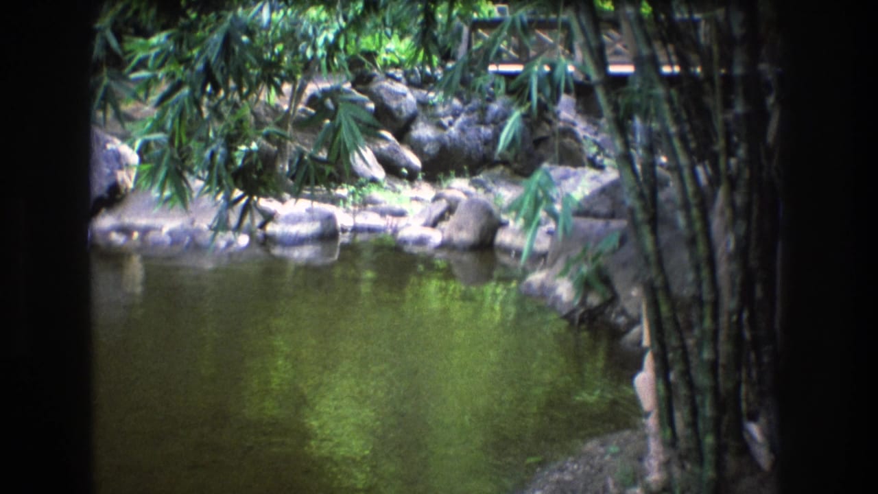 1977 Honolulu 8mm frame showing a calm pond edged by bamboo, large rocks, and tropical greenery in a landscaped garden setting.