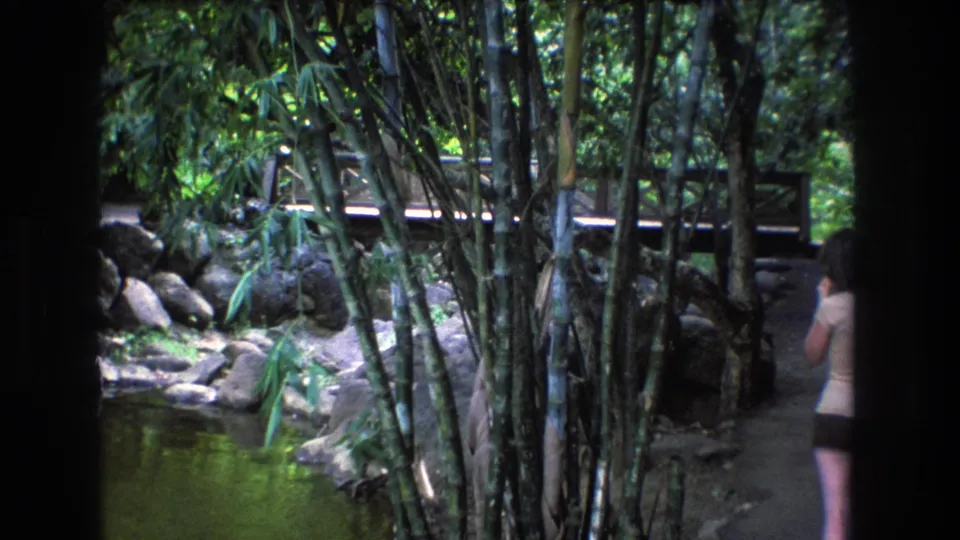 1977 Honolulu garden view with bamboo trunks, a green pond, rocks, a path, and a partially visible person walking at the right edge.