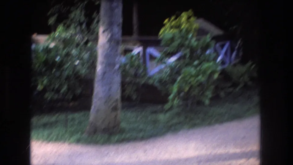1977 Honolulu exterior frame with a tree trunk in front of tropical shrubs, a path, and a wooden building partly visible behind white X-pattern railing.