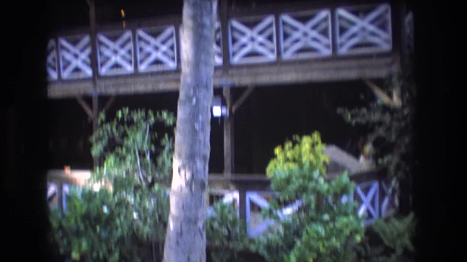 1977 Honolulu home-movie frame showing a wooden building exterior with white X-pattern balcony railings, a foreground tree trunk, and dense garden planting.