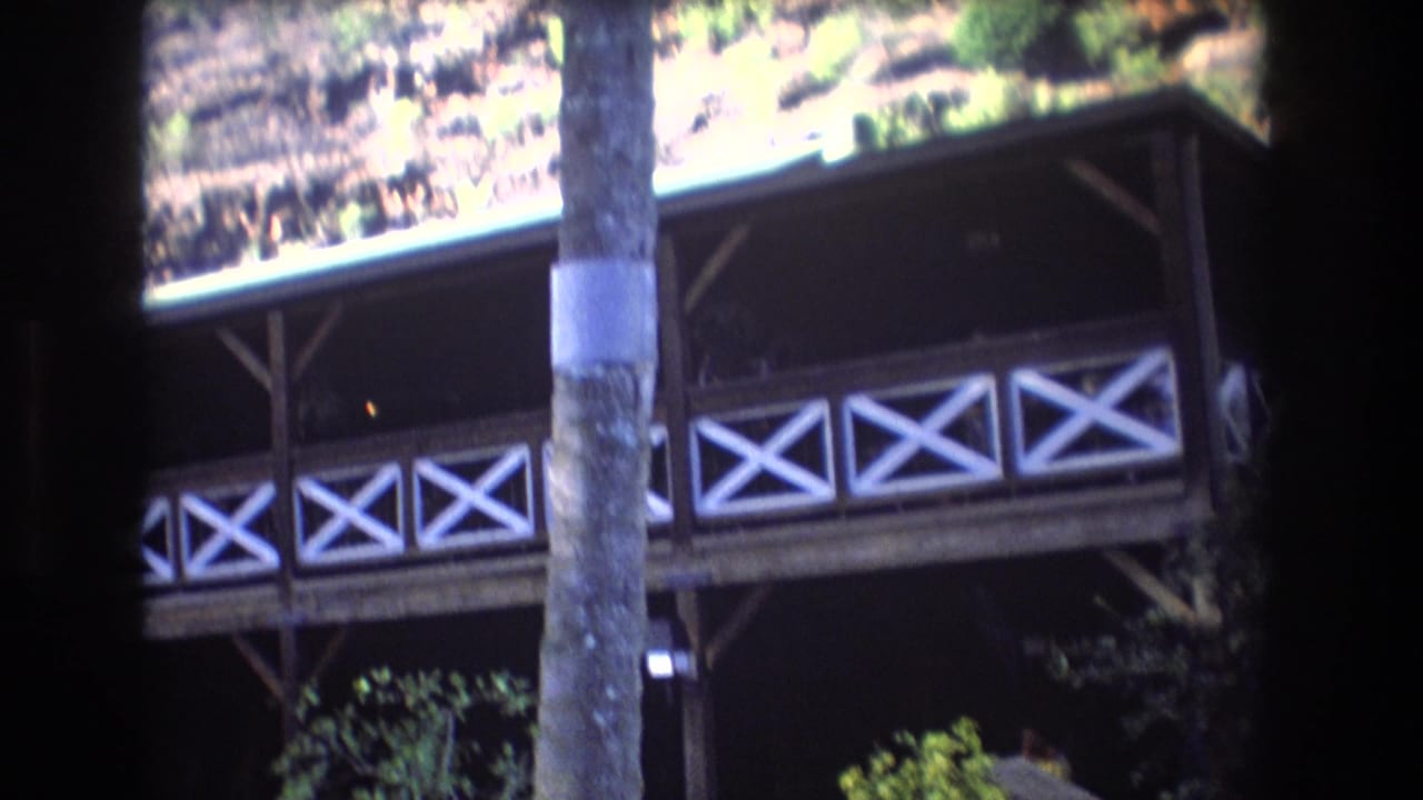 1977 Honolulu home-movie frame showing a wooden building with white X-pattern railings, palm trunk, and hillside vegetation in bright sun.
