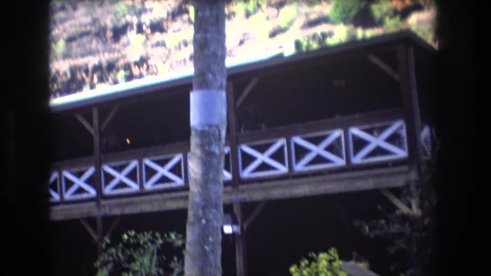1977 Honolulu home-movie frame showing a wooden building with white X-pattern railings, palm trunk, and hillside vegetation in bright sun.