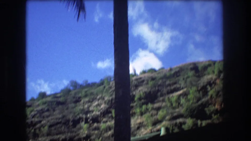 1977 Oahu frame with a tall palm trunk silhouetted against blue sky, clouds, and a green hillside during the upward pan.