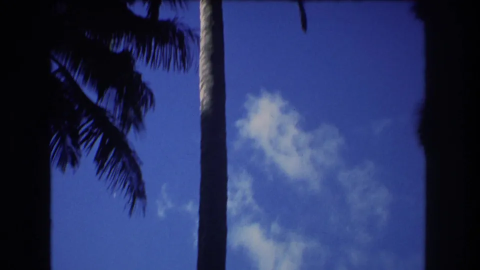 Honolulu 1977 home-movie frame looking upward at palm trunks and fronds against a saturated blue sky with pale clouds.