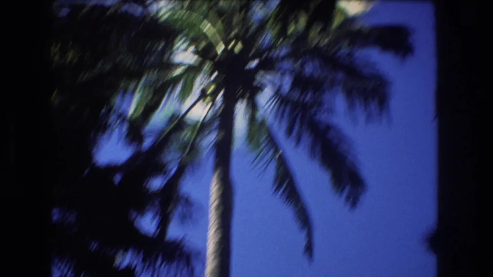 1977 Honolulu frame ending on the upper palm trunk and fronds, with saturated blue sky and slight handheld blur from the pan.